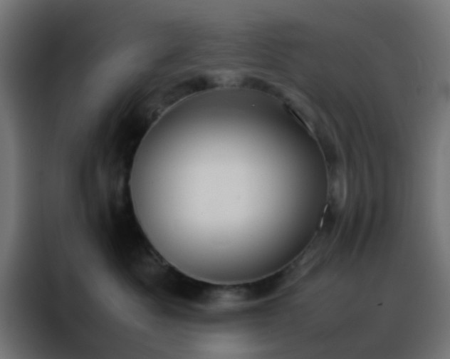 X0000088210525200705221746