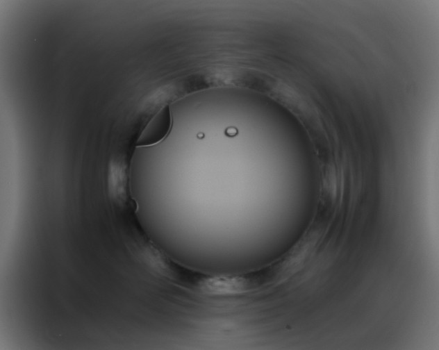 X0000088210526200705221746
