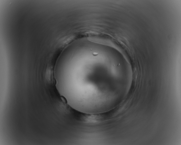 X0000088210527200705221746