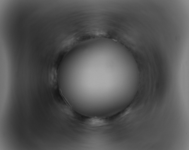 X0000088210528200705221746
