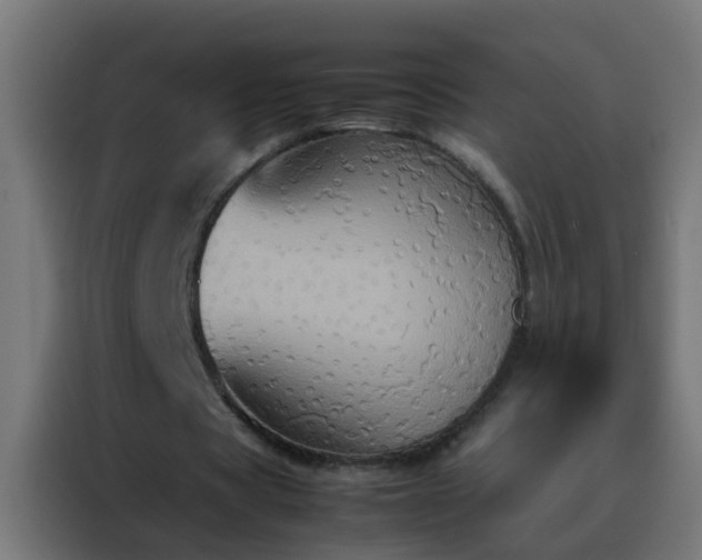 X0000088210529200705221745