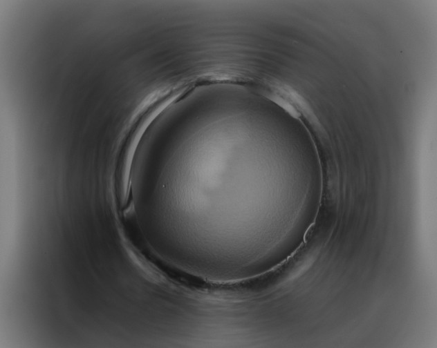X0000088210530200705221745