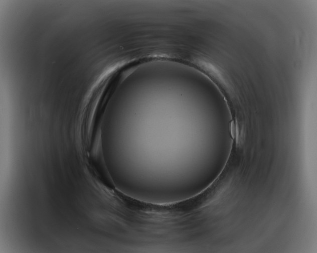 X0000088210531200705221745