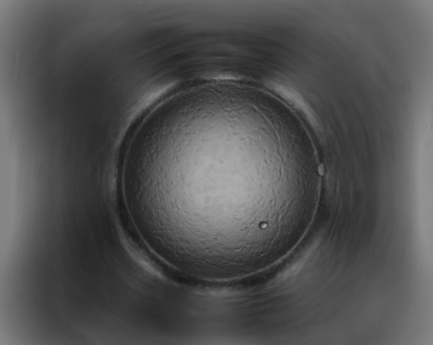 X0000088210533200705221745