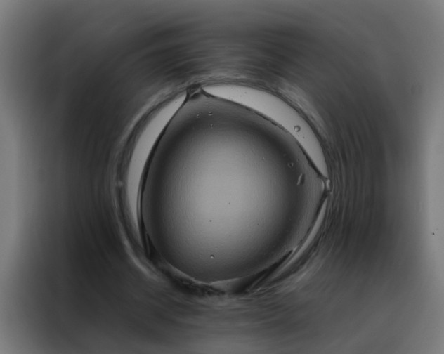 X0000088210534200705221745