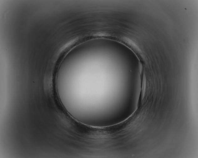 X0000088210535200705221745