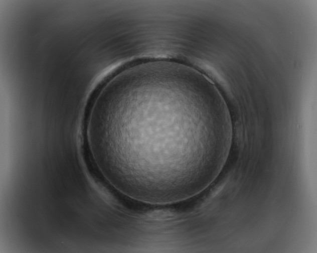 X0000088210536200705221745
