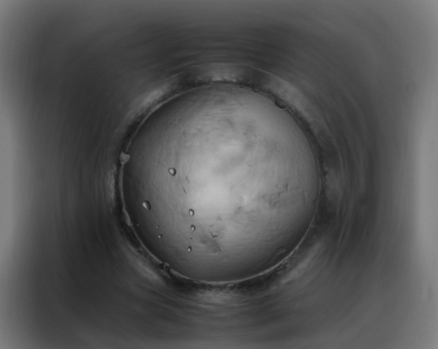 X0000088210537200705221745