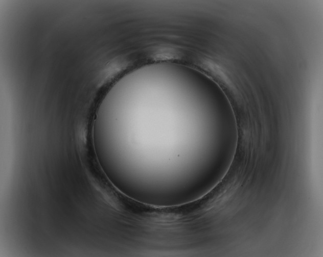 X0000088210539200705221745