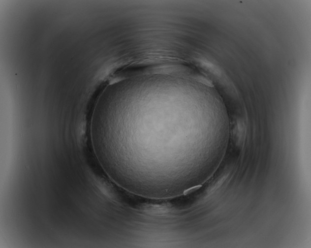 X0000088210548200705221745