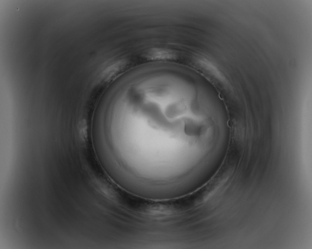 X0000088210549200705221745