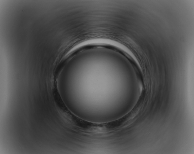 X0000088210552200705221745