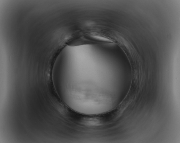 X0000088210553200705221745