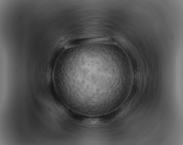 X0000088210554200705221745