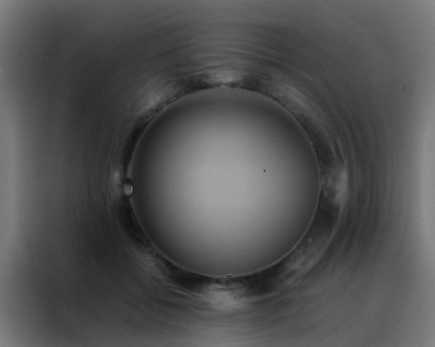 X0000088210556200705221745
