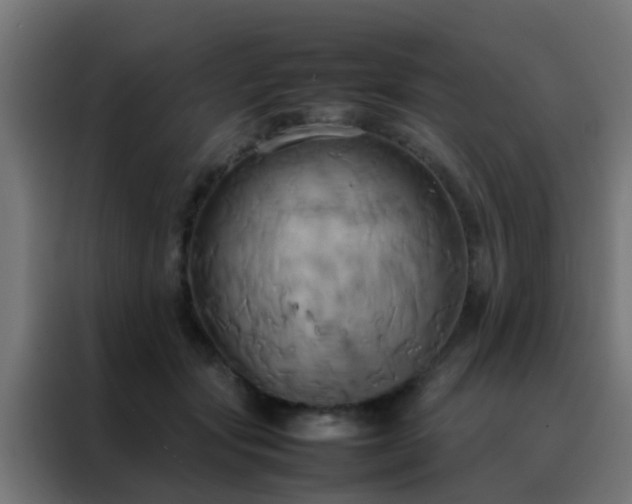 X0000088210557200705221745
