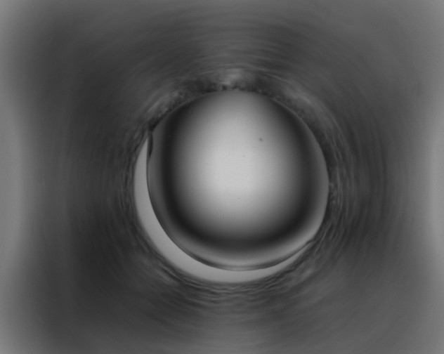 X0000088210558200705221745