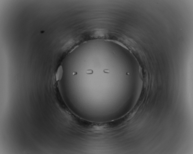 X0000088210560200705221745