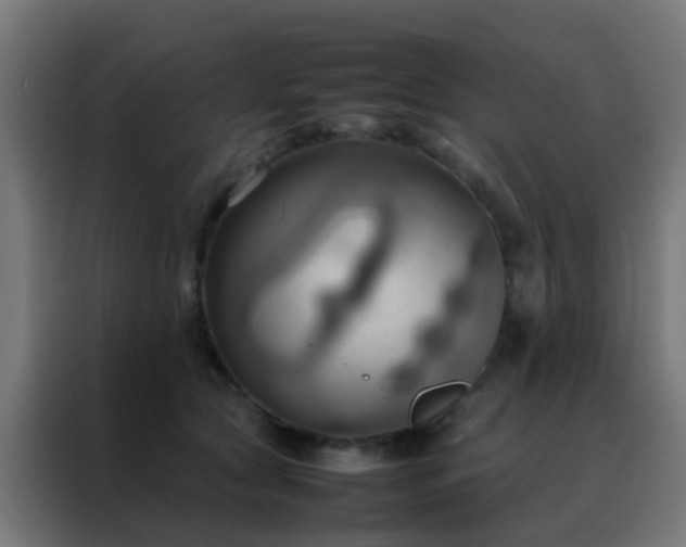 X0000088210561200705221745