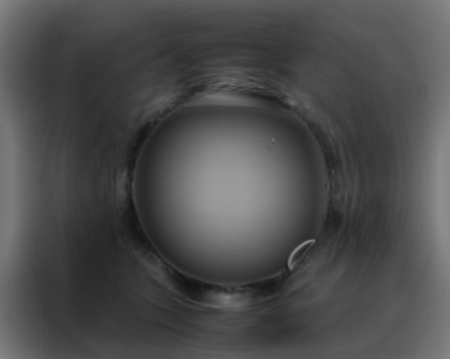 X0000088210563200705221745