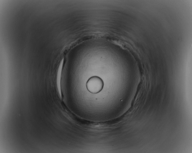 X0000088210564200705221746