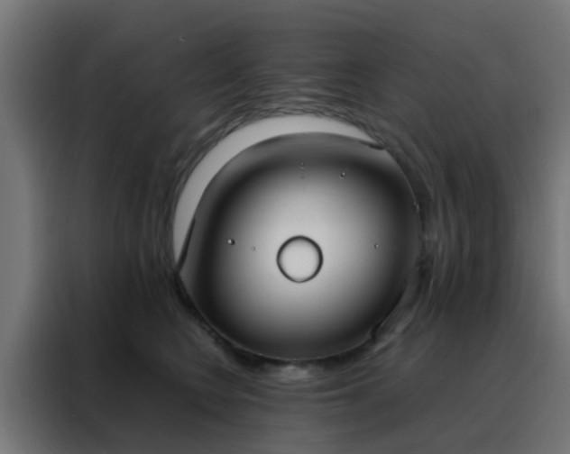 X0000088210566200705221746