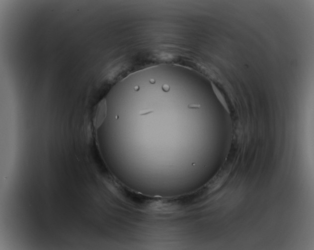 X0000088210568200705221746