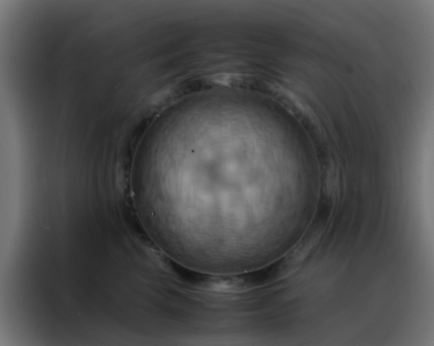 X0000088210569200705221746