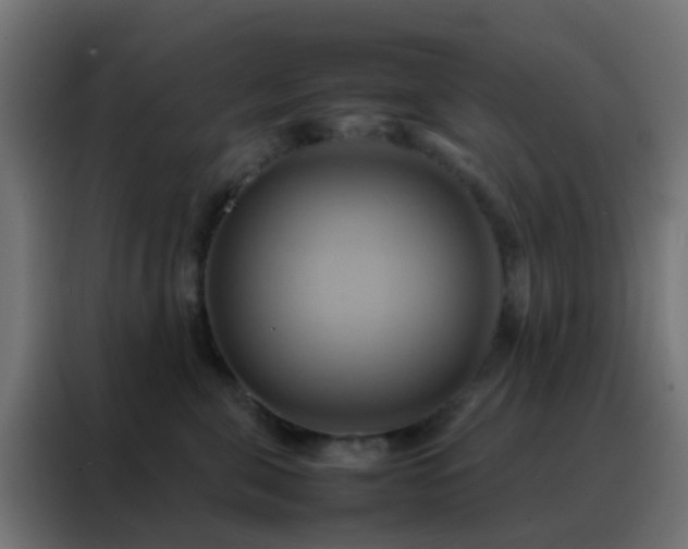 X0000088210571200705221746