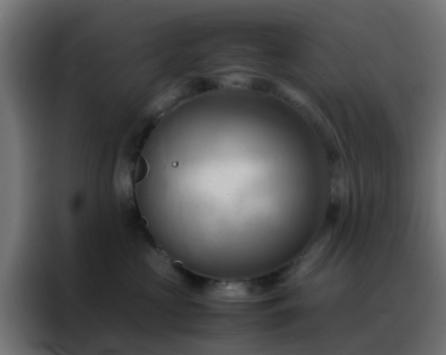 X0000088210573200705221746