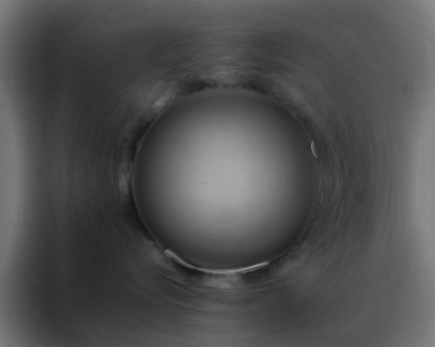 X0000088210576200705221746