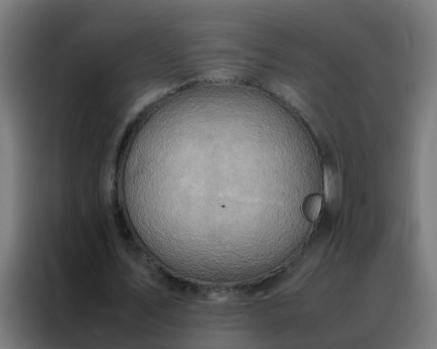 X0000088210579200705221745
