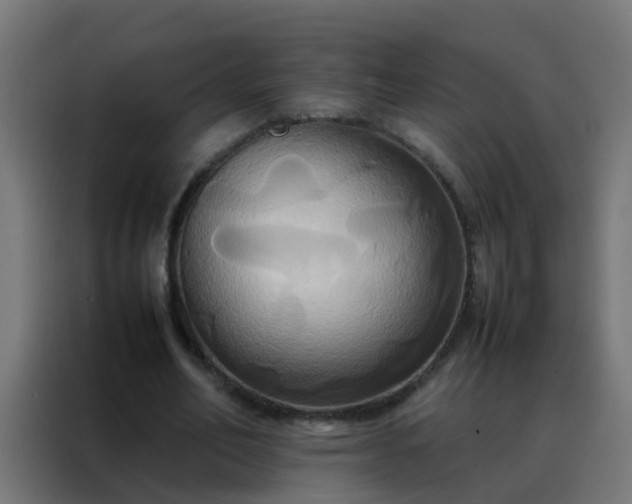 X0000088210582200705221745