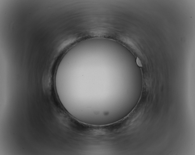 X0000088210583200705221745