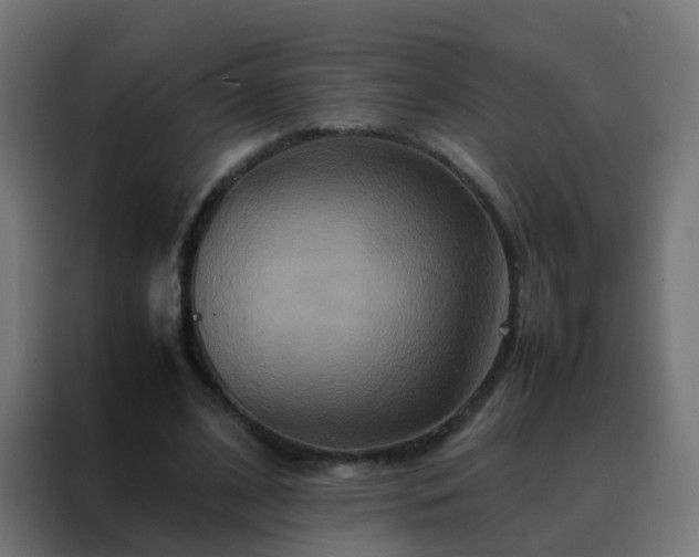 X0000088210584200705221745