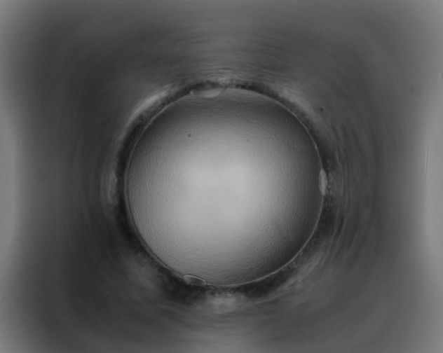 X0000088210587200705221745
