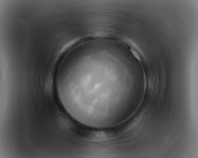 X0000088210588200705221745