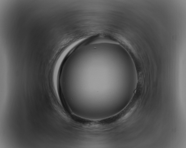 X0000088210589200705221745