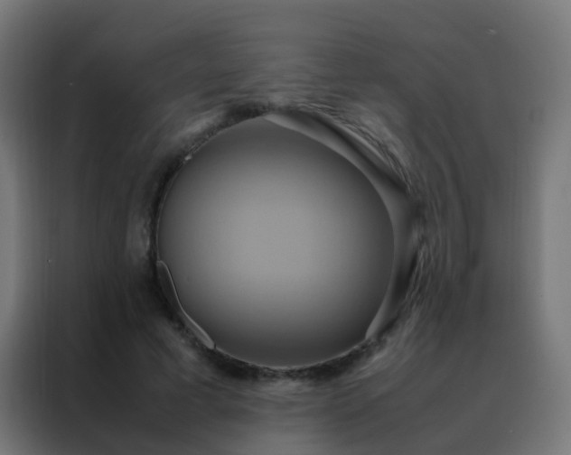 X0000088210593200705221745