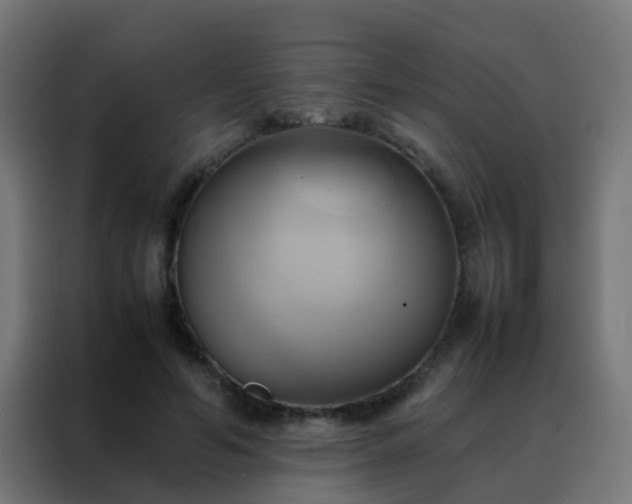 X0000088210594200705221745