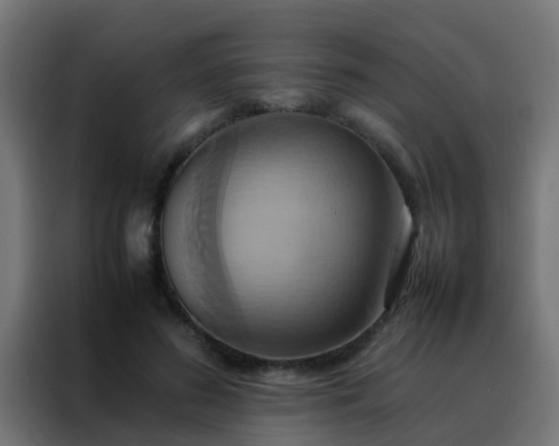 X0000088210596200705221745