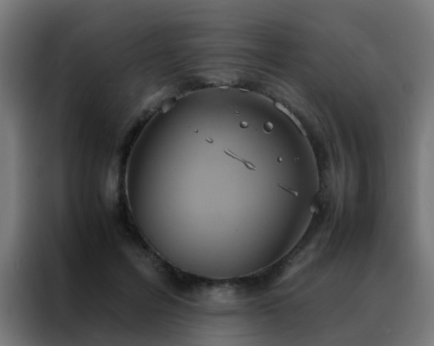 X0000088210600200705221745