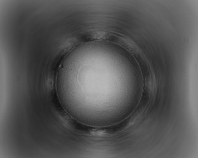 X0000088210602200705221745
