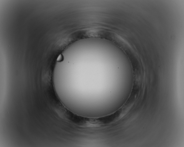 X0000088210603200705221745