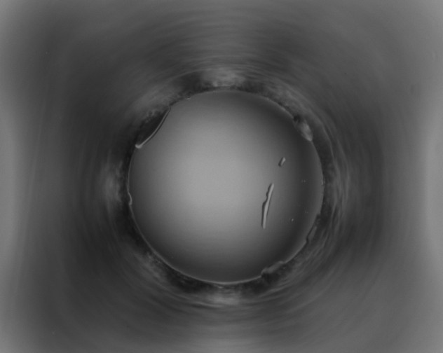 X0000088210604200705221745