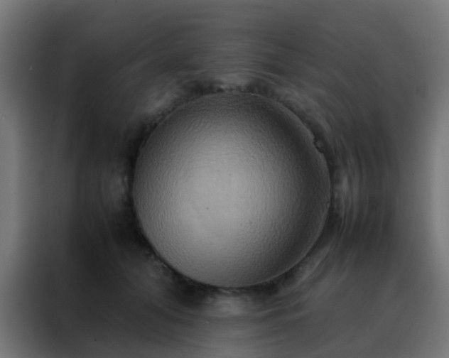 X0000088210608200705221745