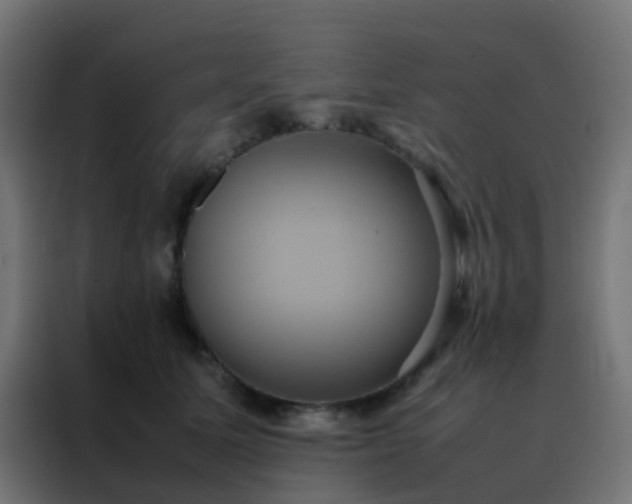 X0000088210611200705221745