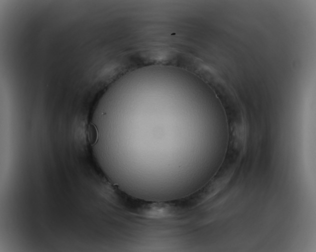 X0000088210612200705221745