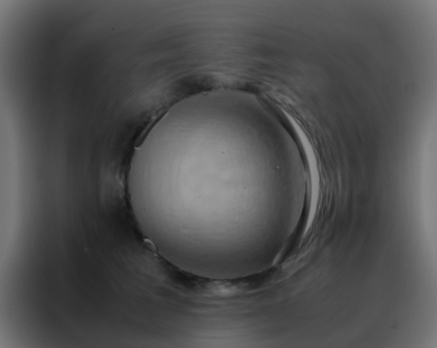 X0000088210613200705221745