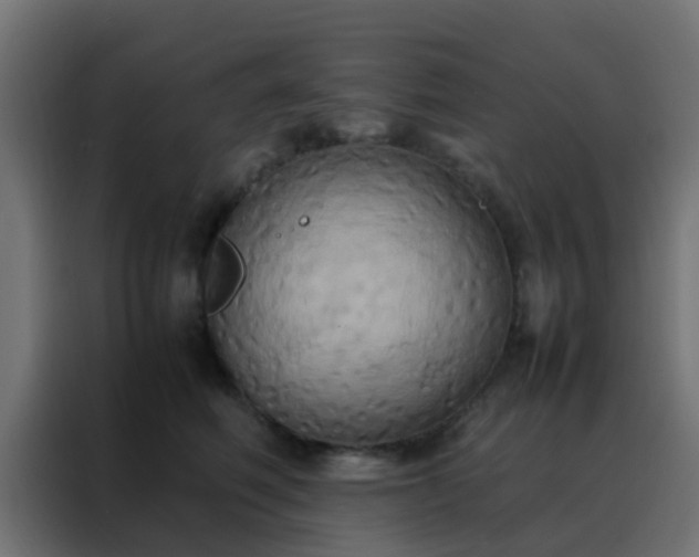X0000088210614200705221745